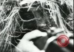 Image of German cadets Germany, 1944, second 46 stock footage video 65675066376
