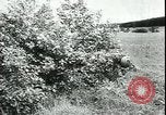 Image of German cadets Germany, 1944, second 60 stock footage video 65675066376