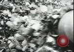 Image of German cadets Germany, 1944, second 62 stock footage video 65675066376