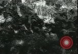 Image of German cadets Germany, 1944, second 20 stock footage video 65675066377