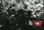 Image of German cadets Germany, 1944, second 21 stock footage video 65675066377