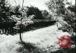 Image of German cadets Germany, 1944, second 27 stock footage video 65675066377