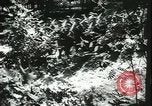 Image of German cadets Germany, 1944, second 41 stock footage video 65675066377