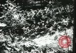 Image of German cadets Germany, 1944, second 42 stock footage video 65675066377