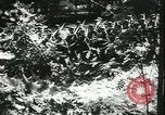 Image of German cadets Germany, 1944, second 43 stock footage video 65675066377