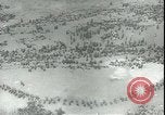 Image 7e Armée des États-Unis France, 1944, de la seconde 16 séquences d'archives historiques vidéo 65675066381
