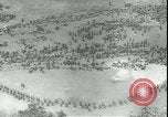 Image 7e Armée des États-Unis France, 1944, de la seconde 17 séquences d'archives historiques vidéo 65675066381