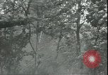 Image of Soviet Army pursues German forces in retreat Russia, 1944, second 9 stock footage video 65675066382
