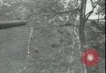 Image of Soviet Army pursues German forces in retreat Russia, 1944, second 10 stock footage video 65675066382