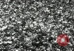 Image of Presidential Election campaign United States USA, 1960, second 21 stock footage video 65675066384