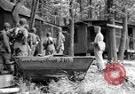 Immagine di Gas corso ostacolo Maryland United States USA, 1943, secondo 14 filmato di repertorio 65675066399