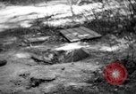 Immagine di Gas corso ostacolo Maryland United States USA, 1943, secondo 27 filmato di repertorio 65675066399