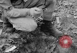 Immagine di Gas corso ostacolo Maryland United States USA, 1943, secondo 13 filmato di repertorio 65675066400