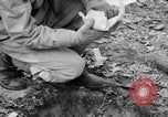Immagine di Gas corso ostacolo Maryland United States USA, 1943, secondo 29 filmato di repertorio 65675066400