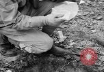 Immagine di Gas corso ostacolo Maryland United States USA, 1943, secondo 30 filmato di repertorio 65675066400