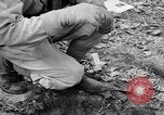 Immagine di Gas corso ostacolo Maryland United States USA, 1943, secondo 32 filmato di repertorio 65675066400