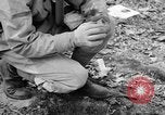 Immagine di Gas corso ostacolo Maryland United States USA, 1943, secondo 34 filmato di repertorio 65675066400