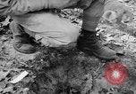 Immagine di Gas corso ostacolo Maryland United States USA, 1943, secondo 36 filmato di repertorio 65675066400