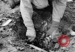 Immagine di Gas corso ostacolo Maryland United States USA, 1943, secondo 38 filmato di repertorio 65675066400