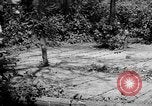 Immagine di Gas corso ostacolo Maryland United States USA, 1943, secondo 5 filmato di repertorio 65675066401