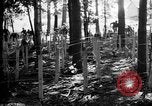 Immagine di Gas corso ostacolo Maryland United States USA, 1943, secondo 7 filmato di repertorio 65675066401