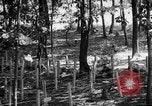 Immagine di Gas corso ostacolo Maryland United States USA, 1943, secondo 10 filmato di repertorio 65675066401