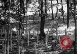 Immagine di Gas corso ostacolo Maryland United States USA, 1943, secondo 11 filmato di repertorio 65675066401