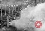 Immagine di Gas corso ostacolo Maryland United States USA, 1943, secondo 36 filmato di repertorio 65675066401
