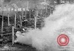 Immagine di Gas corso ostacolo Maryland United States USA, 1943, secondo 37 filmato di repertorio 65675066401