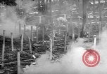 Immagine di Gas corso ostacolo Maryland United States USA, 1943, secondo 39 filmato di repertorio 65675066401