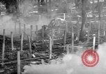 Immagine di Gas corso ostacolo Maryland United States USA, 1943, secondo 41 filmato di repertorio 65675066401