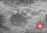 Immagine di Gas corso ostacolo Maryland United States USA, 1943, secondo 43 filmato di repertorio 65675066401