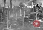Immagine di Gas corso ostacolo Maryland United States USA, 1943, secondo 49 filmato di repertorio 65675066401