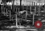 Immagine di Gas corso ostacolo Maryland United States USA, 1943, secondo 58 filmato di repertorio 65675066401