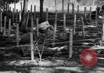 Immagine di Gas corso ostacolo Maryland United States USA, 1943, secondo 59 filmato di repertorio 65675066401