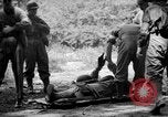 Immagine di Gas corso ostacolo Maryland United States USA, 1943, secondo 1 filmato di repertorio 65675066402
