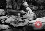 Immagine di Gas corso ostacolo Maryland United States USA, 1943, secondo 27 filmato di repertorio 65675066402