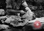 Immagine di Gas corso ostacolo Maryland United States USA, 1943, secondo 28 filmato di repertorio 65675066402