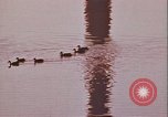 Image of monuments Washington DC USA, 1972, second 3 stock footage video 65675066408