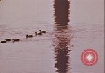 Image of monuments Washington DC USA, 1972, second 4 stock footage video 65675066408