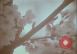 Image of monuments Washington DC USA, 1972, second 28 stock footage video 65675066409