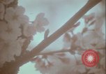 Image of monuments Washington DC USA, 1972, second 29 stock footage video 65675066409
