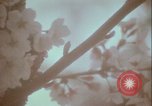 Image of monuments Washington DC USA, 1972, second 30 stock footage video 65675066409