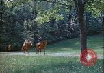 Immagine di Ricreazione Washington DC USA, 1972, secondo 41 filmato di repertorio 65675066420