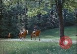 Immagine di Ricreazione Washington DC USA, 1972, secondo 42 filmato di repertorio 65675066420