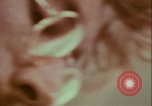 Image of Netherlands Carillon Virginia United States USA, 1972, second 3 stock footage video 65675066429