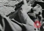 Image of Russian Campaign Russia, 1941, second 49 stock footage video 65675066433