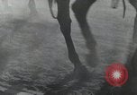 Standbild russischen Kampagne Russland, 1941, aus Sekunde 16 historischem Filmmaterial Videoclip 65675066437