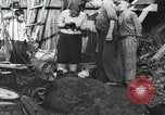 Immagine di Campagna di Russia La Russia, 1941, secondo 14 filmato di repertorio 65675066439