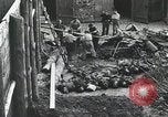Immagine di Campagna di Russia La Russia, 1941, secondo 16 filmato di repertorio 65675066439